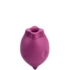 Smile Makers Poet | clitoral suction toy • Buy from $129.00